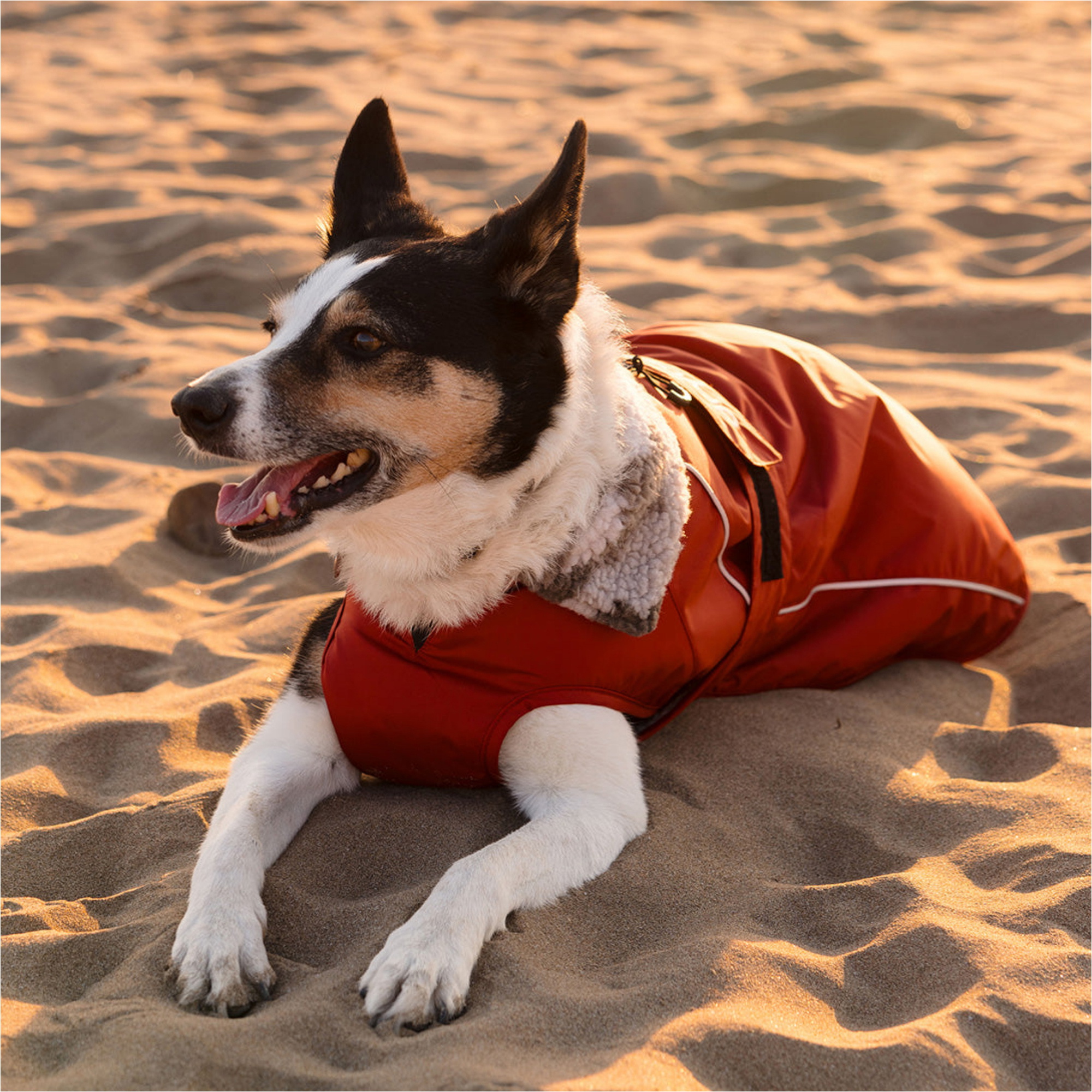 2026 Dryrobe Dog Coat V3DRDC - Burnt Orange